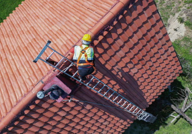 Best Roof Maintenance and Cleaning  in Mondovi, WI
