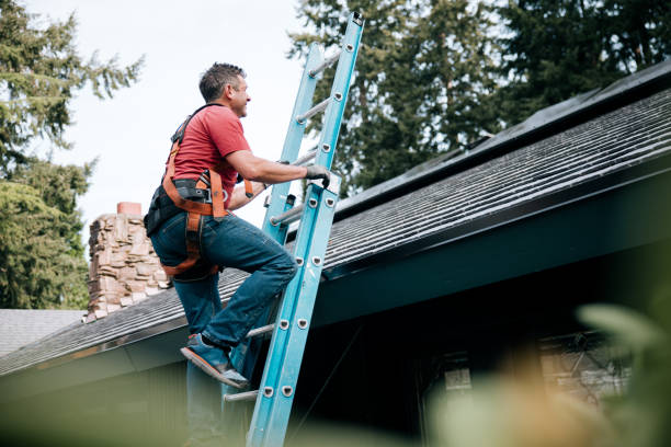 Best Roof Ventilation Installation  in Mondovi, WI