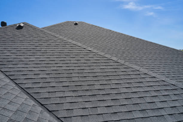 Best Roof Coating and Sealing  in Mondovi, WI